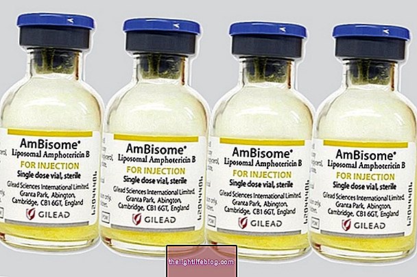 insertions de colis et remèdes - Ambisome - Antifongique injectable