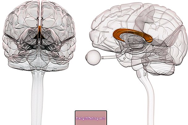 What is the agenesis of the corpus callosum and how is the treatment done