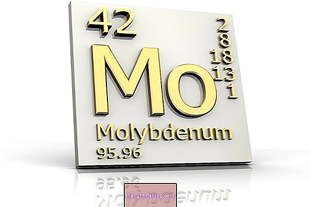What is Molybdenum in the body for