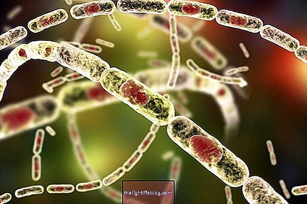 What is Anthrax, main symptoms and how is treatment