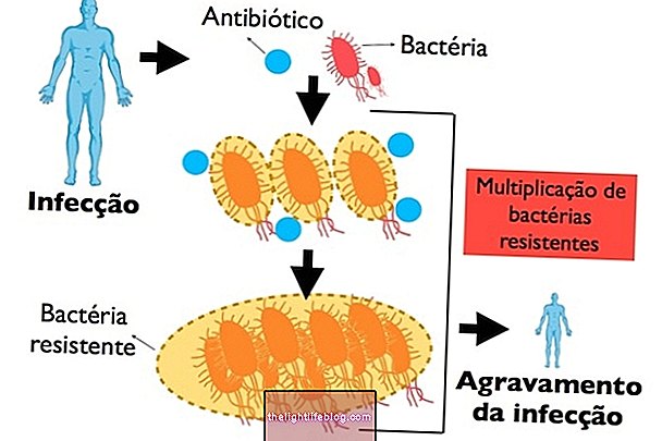 Bacteriële resistentie: wat het is, waarom het gebeurt en hoe het te vermijden