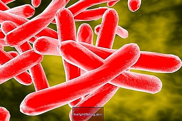 Kan tuberkulose helbredes?