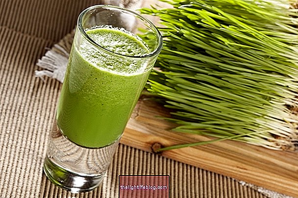 Wheat grass: benefits and how to consume