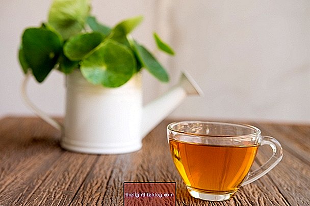 Asiatisk glitrende te til cellulite