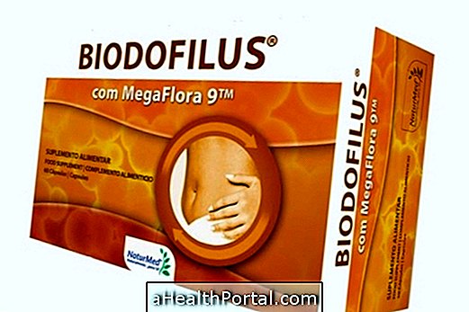 Biodofiluss