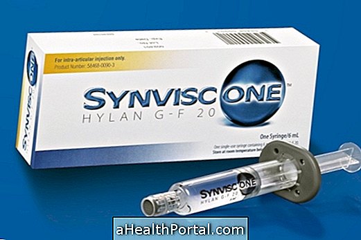 Synvisc - 관절 침투