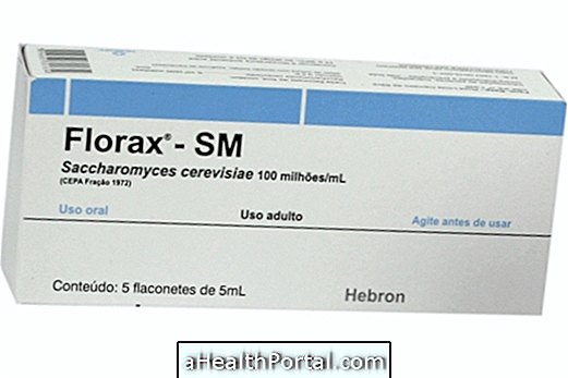 Saccharomyces cerevisiae (Florax)
