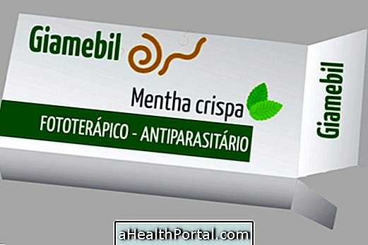 Giamebil - Naturlig Remedy for Worm