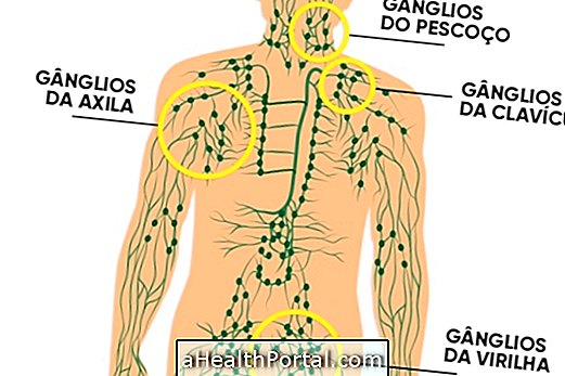 What is the function of the lymph nodes and where do they