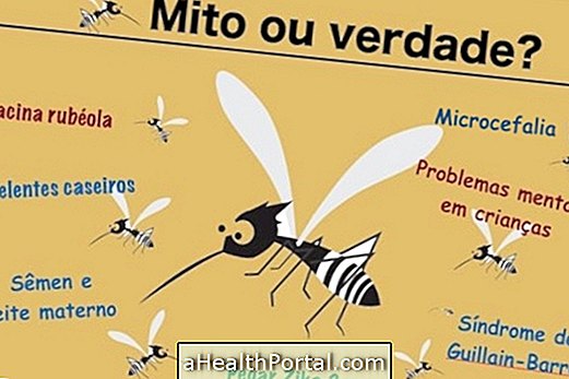 Alles, was Sie über Zika wissen müssen