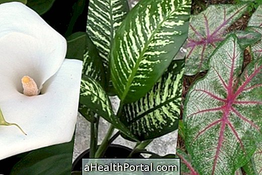 9 Strupene rastline, ki jih lahko imate doma