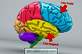 كيف يعمل الدماغ الكدمات