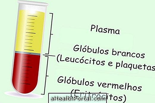 Blood components and their functions