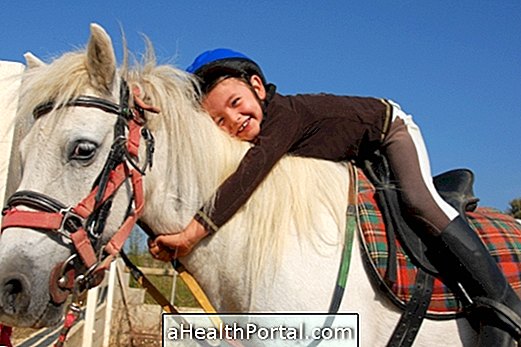 Heste terapi: hvad det er og fordeler