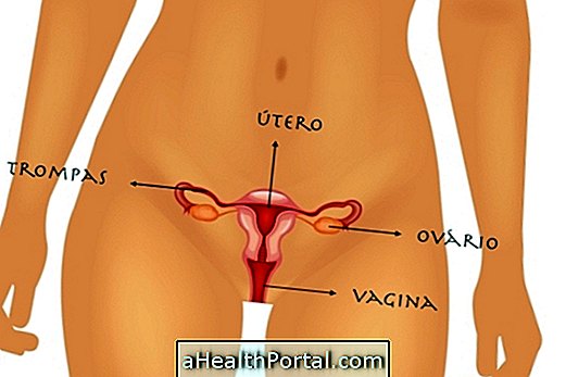Hogyan működik a női reproduktív rendszer?
