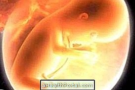 Baby Development - 17 tjedana trudna
