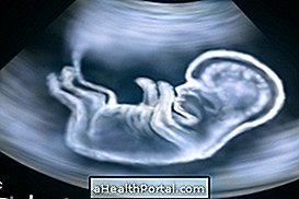 Baby udvikling - 14 uger gravid