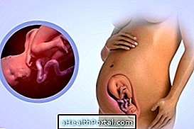 Développement du bébé - 30 semaines de gestation