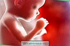 Baby Development - 18 nädalat rase