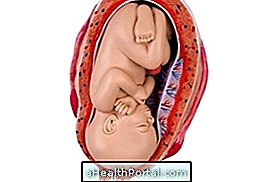 Baby development - 29 weeks gestation