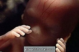 Beebi areng - 16 nädalat rase