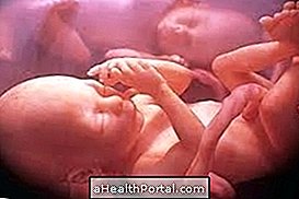 Development of the baby - 34 weeks gestation