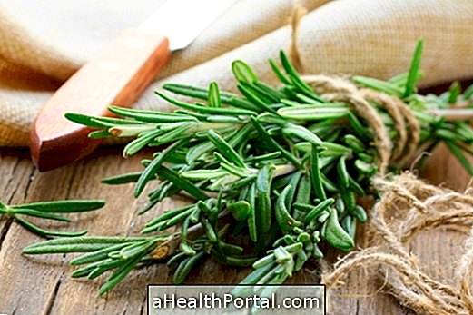 10 Incredible Benefits of Rosemary Tea (You Could not Imagine)