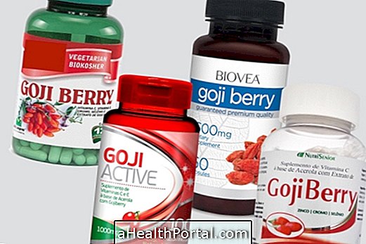 diet and nutrition - How to Take Goji Berry in Weight Loss Capsules