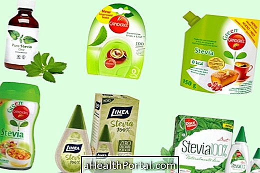 5 Common Questions About Stevia Sweetener