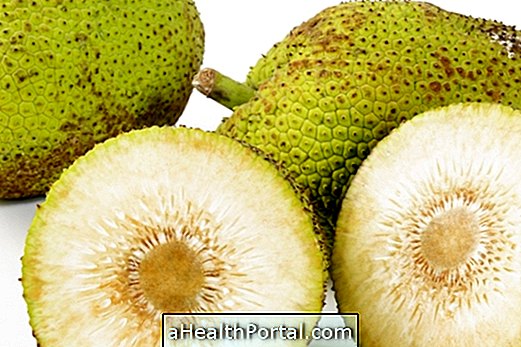 Breadfruit הוא טוב סוכרת ושולט על הלחץ