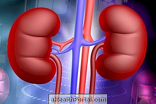 Cyst in the kidney: what it is, symptoms and how treatment is done