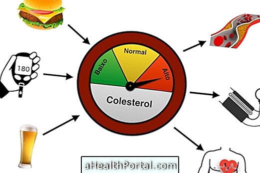 Causes de cholestérol élevé