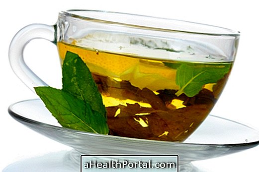 Green Tea Protects the Heart and Helps You Lose Weight