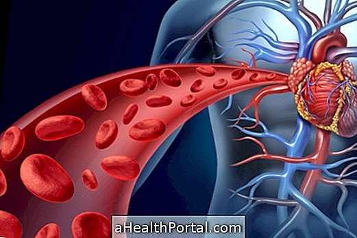 مرض القلب - تعلم كيف يعمل نظام القلب والأوعية الدموية