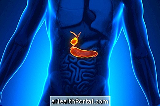 Cancer in the pancreas is severe and usually has no cure