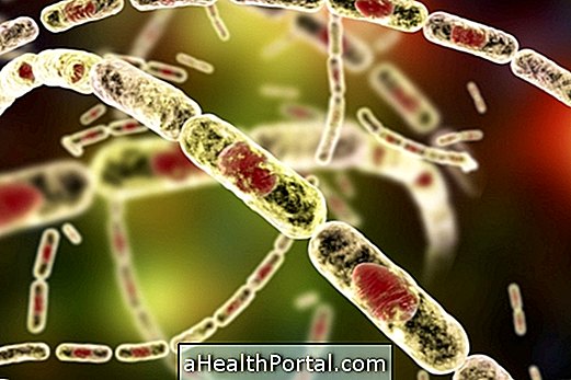 Übertragung und Behandlung der Anthrax-Krankheit
