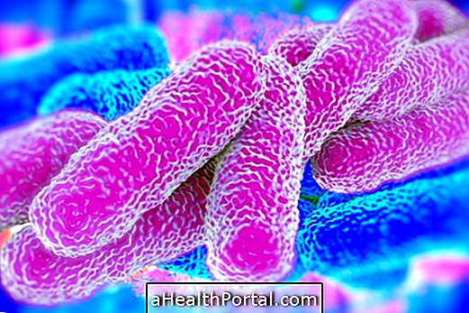 KPC Superbacterium - nakkushaigus, sümptomid, ravi ja ravi
