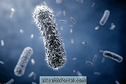 Escherichia coli: Symptomer, behandling, overføring