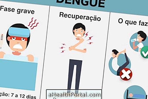Sådan genopretter du fra Dengue, Zika og Chikungunya hurtigere