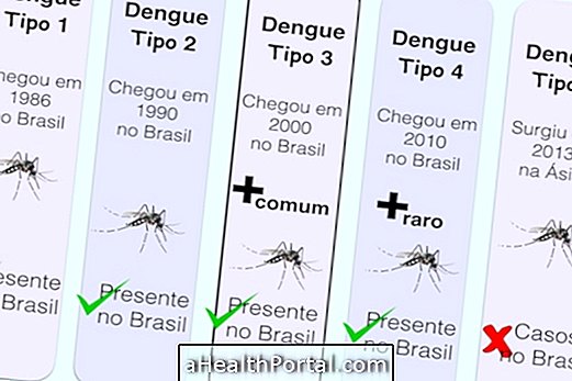 Tunne erilaiset dengue-tyypit