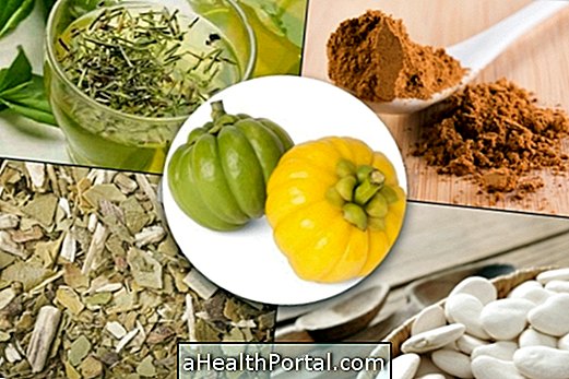 5 Medicinal Plants to Lose Weight