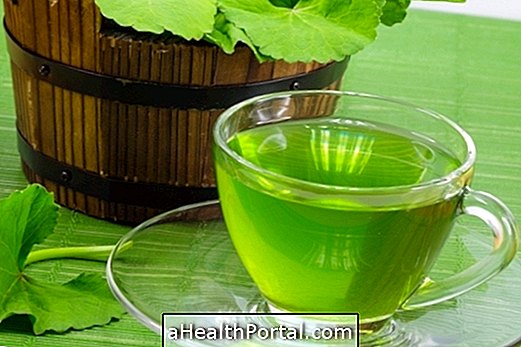 How to Use Centella Asian to Lose Weight