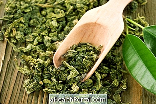 Grøn te øger metabolisme og hjælper dig med at tabe sig