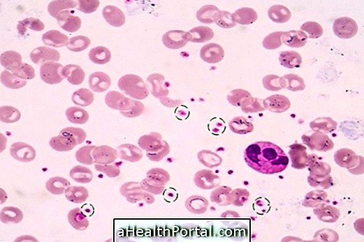 What are the main functions of platelets