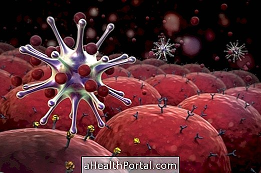 Lymfocytter - hvad de er og referenceværdier