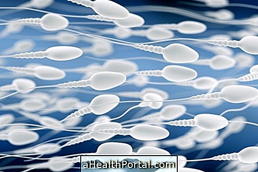 Spermogramm: Wozu dient es und wie wird es gemacht?