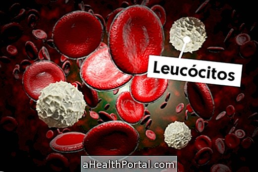 Leukocyten: wat ze zijn en referentiewaarden
