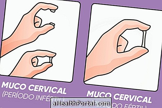 Vad är Cervical Mucus och vad det indikerar