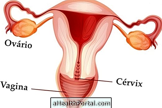 Sådan bruges Billings Graviditet Ovulationsmetode