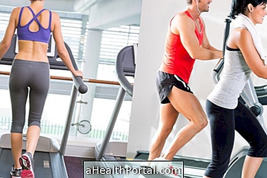 Elliptical or Treadmill - คุณรู้หรือไม่ว่าการออกกำลังกายแบบใด?